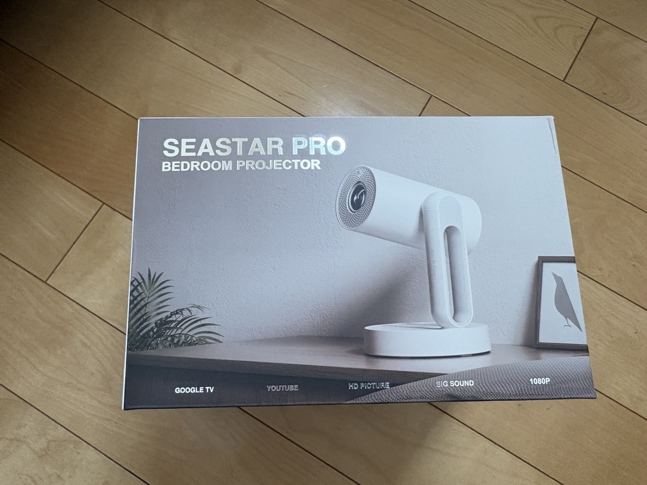 ETOE Starfish Pro（Seastar Pro）プロジェクターの外箱